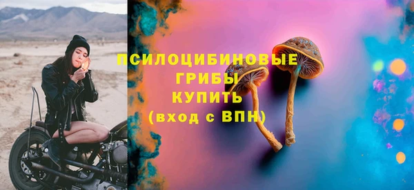 прущий лед Абаза