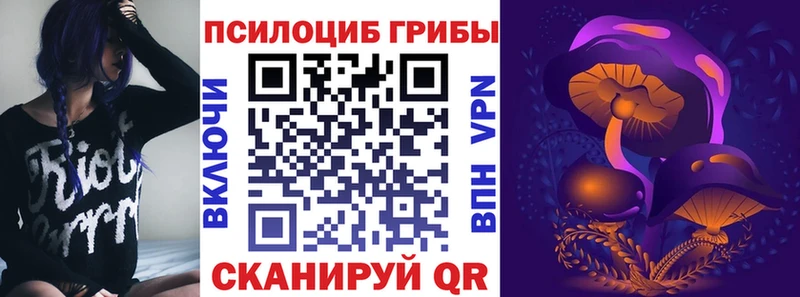 Псилоцибиновые грибы Cubensis мега как войти Партизанск даркнет сайт